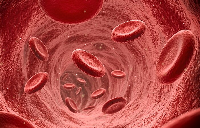 rote Blutkoerperchen Erythrozyten
