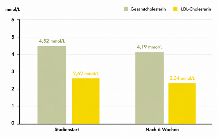 Wissenschaftliches Balkendiagramm